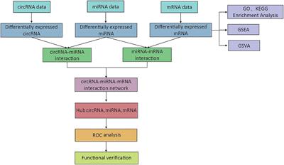 The Construction and Analysis of Infiltrating Immune Cell and ceRNA Networks in Diabetic Foot Ulcer